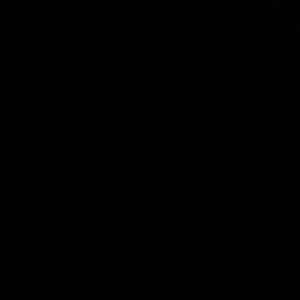 All girls jeans were listed for $8 each. Bundle any 5 pair for $25!!